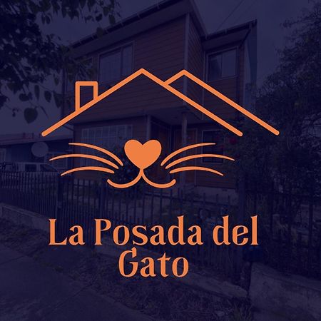 Posada De Los Gatos Bed & Breakfast Puerto Natales Eksteriør bilde