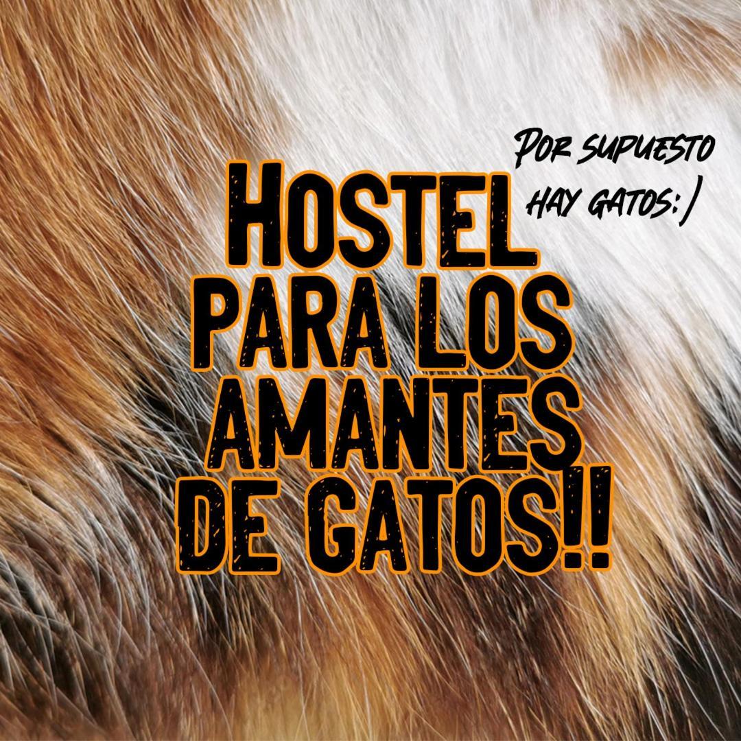 Posada De Los Gatos Bed & Breakfast Puerto Natales Eksteriør bilde